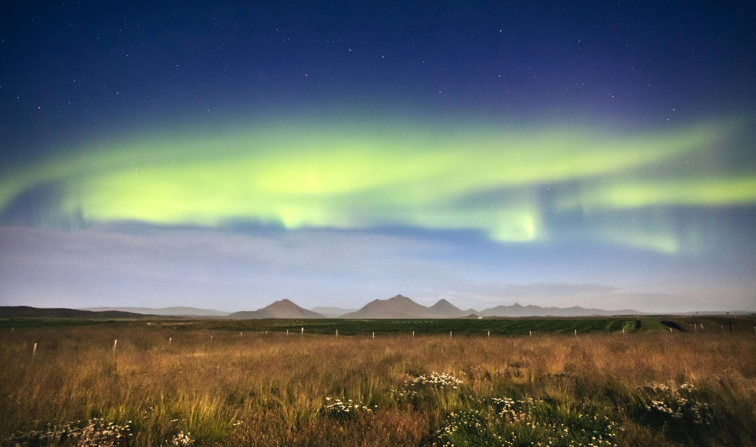 Northern Lights in North London