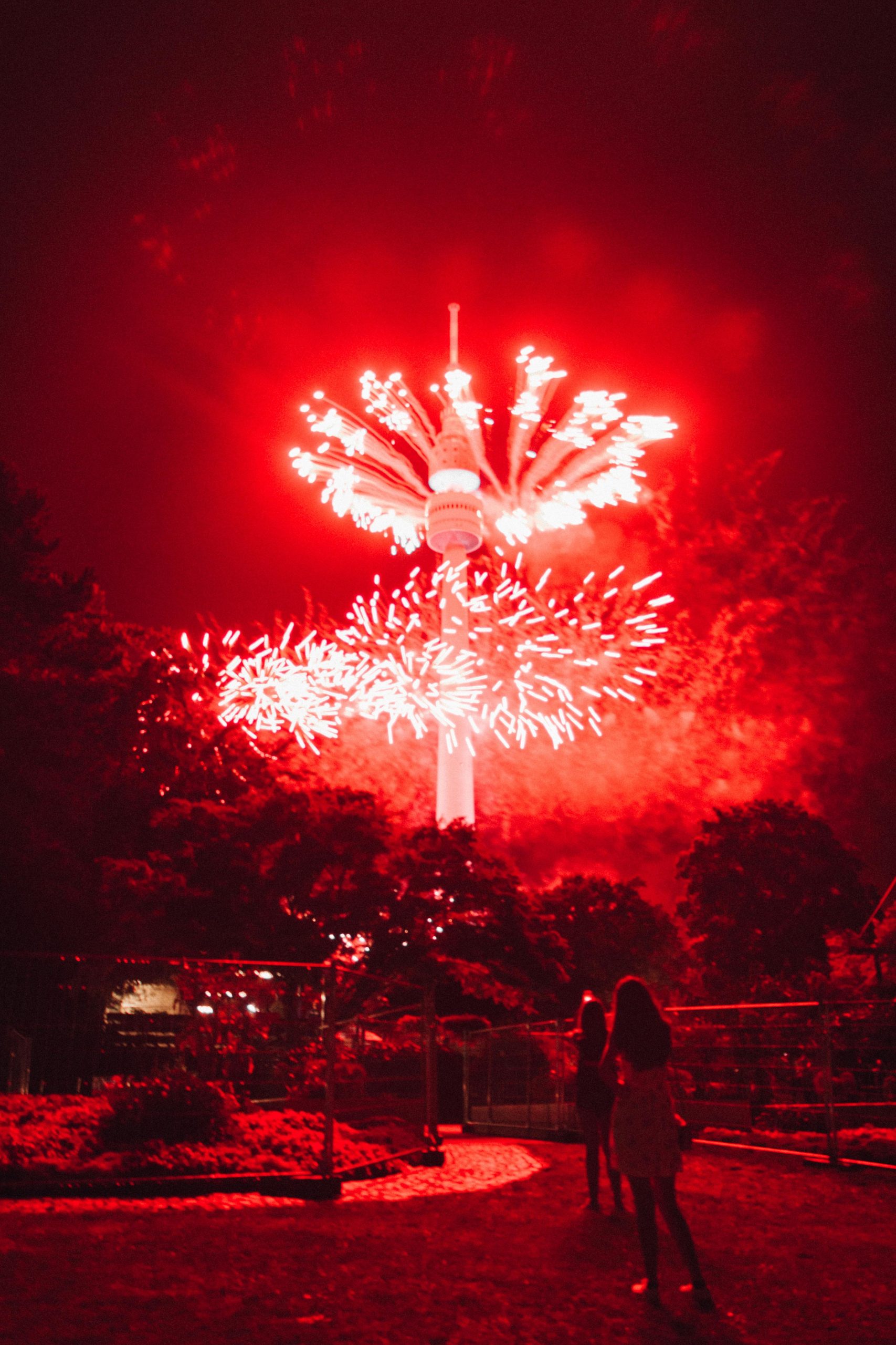 Battersea Park Fireworks