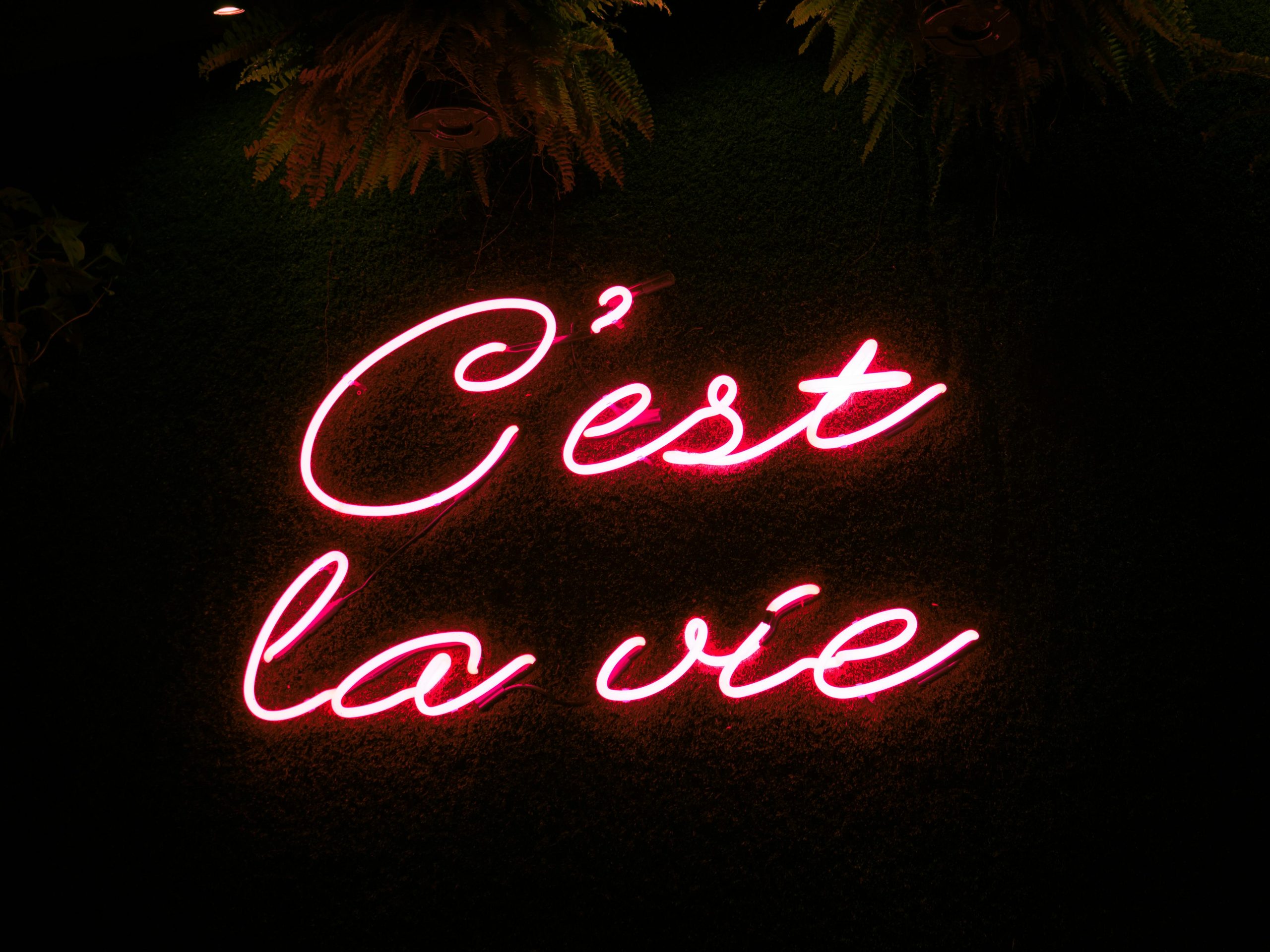 Looking for a French language buddy!