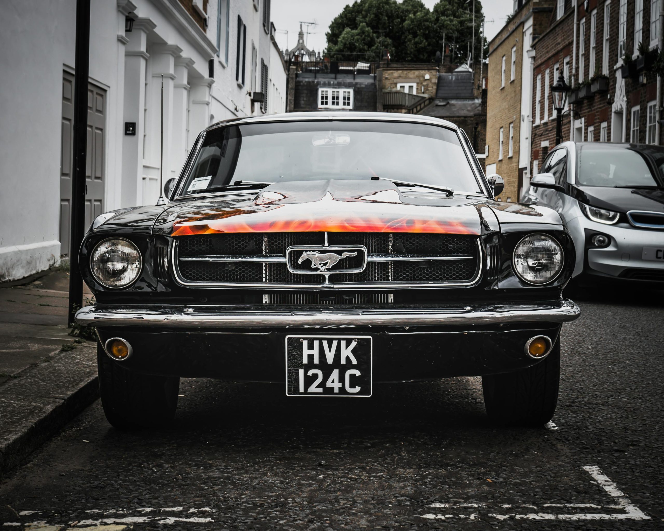 Mustang