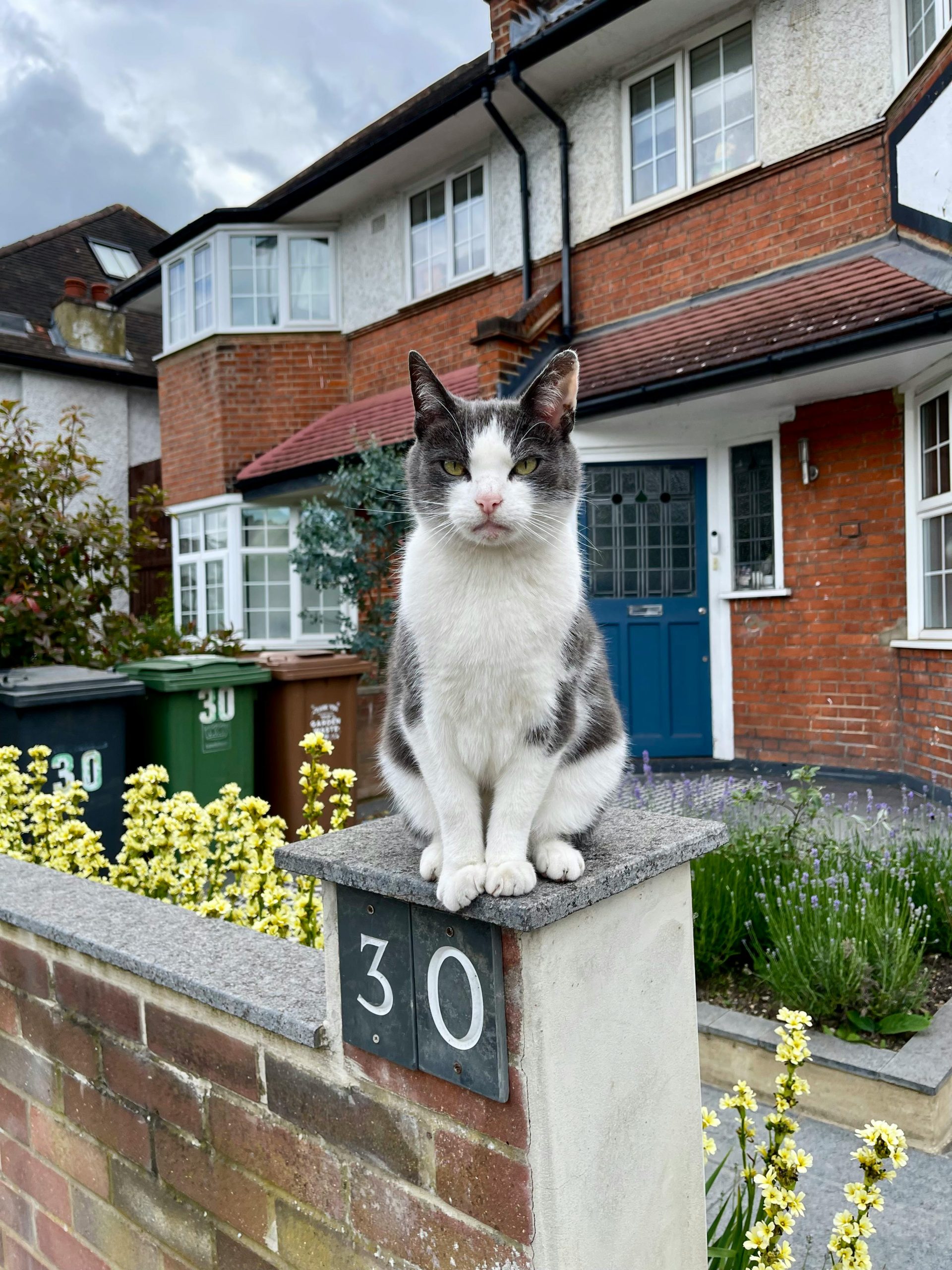 What’s the fence door for?