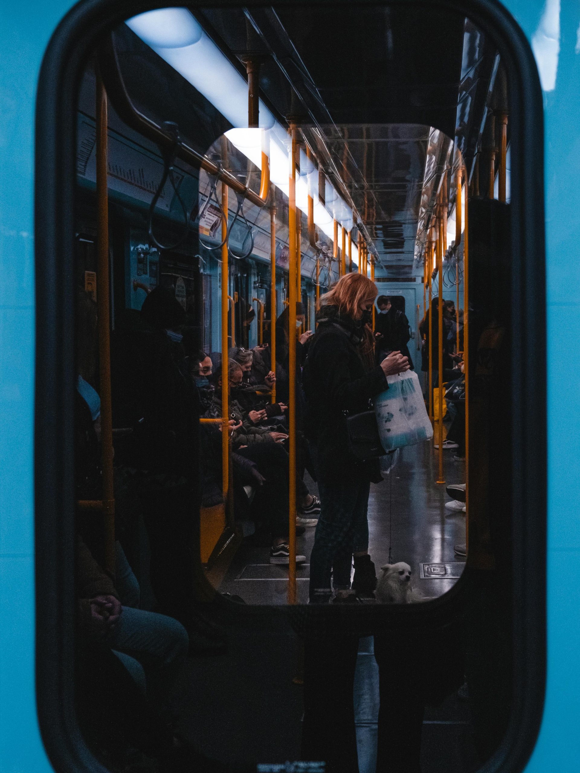 To everyone taking their dogs in public transport