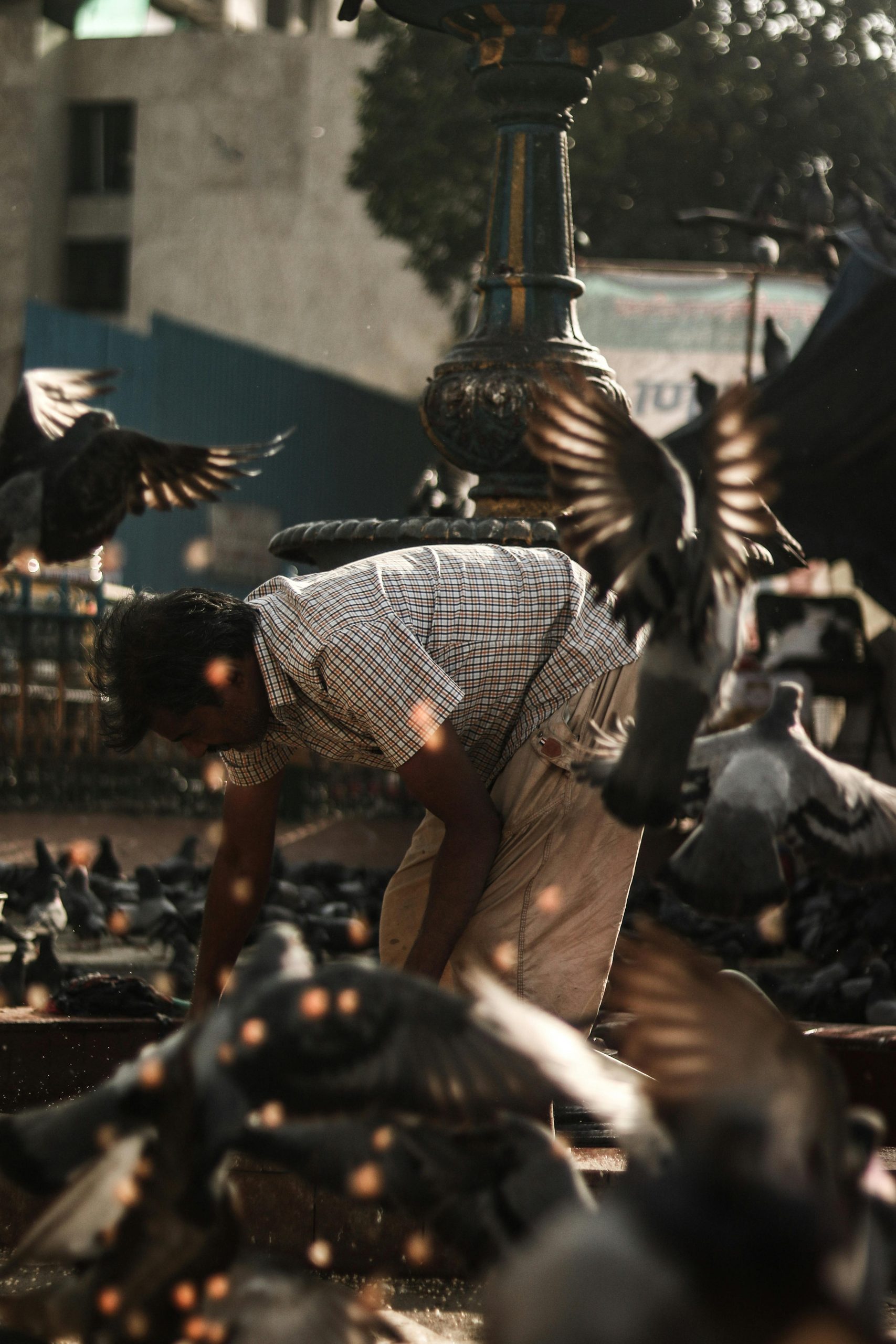 Just met this guy whose job it is to keep the pigeons out of Trafalgar Square.