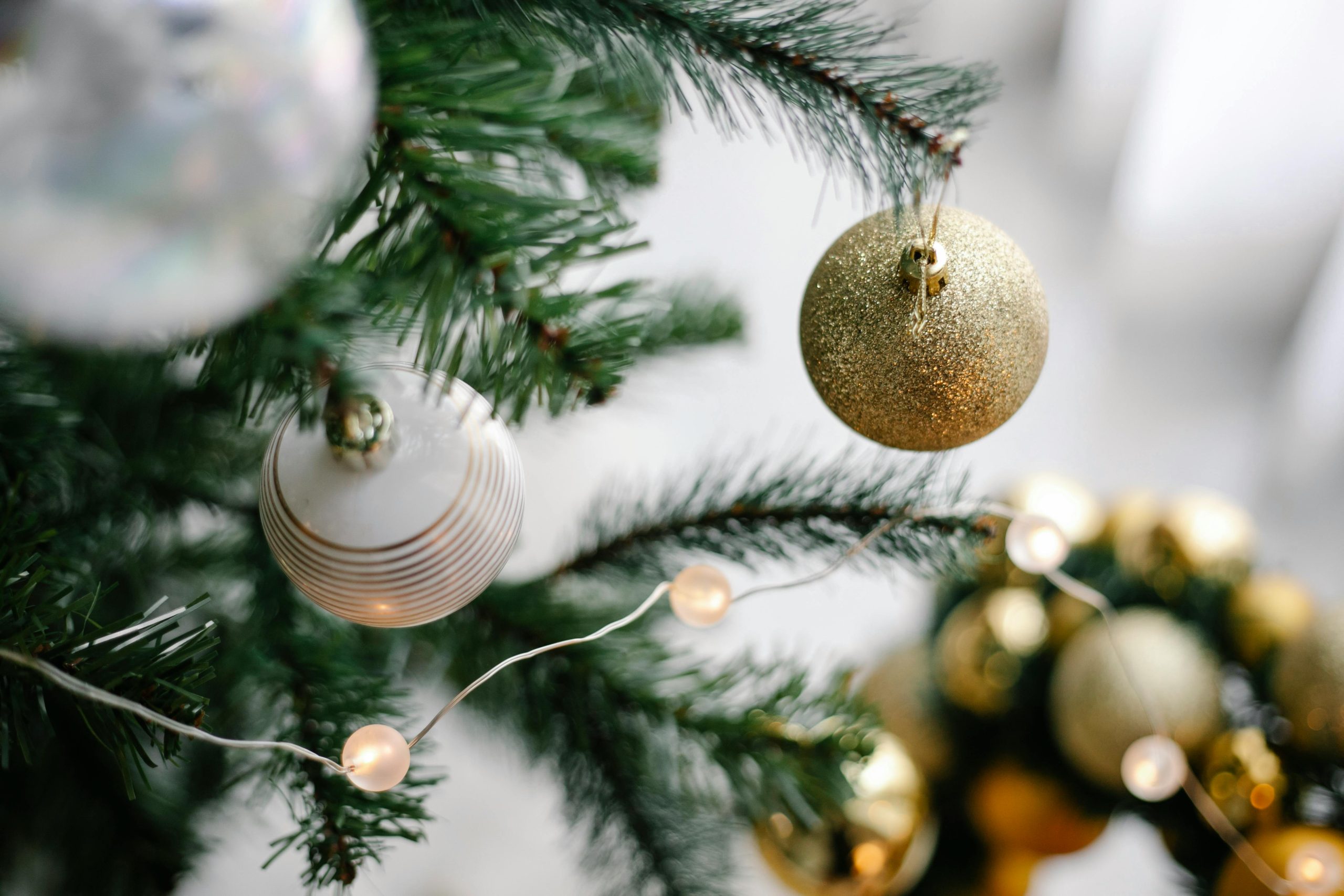 A collection of London Xmas trees