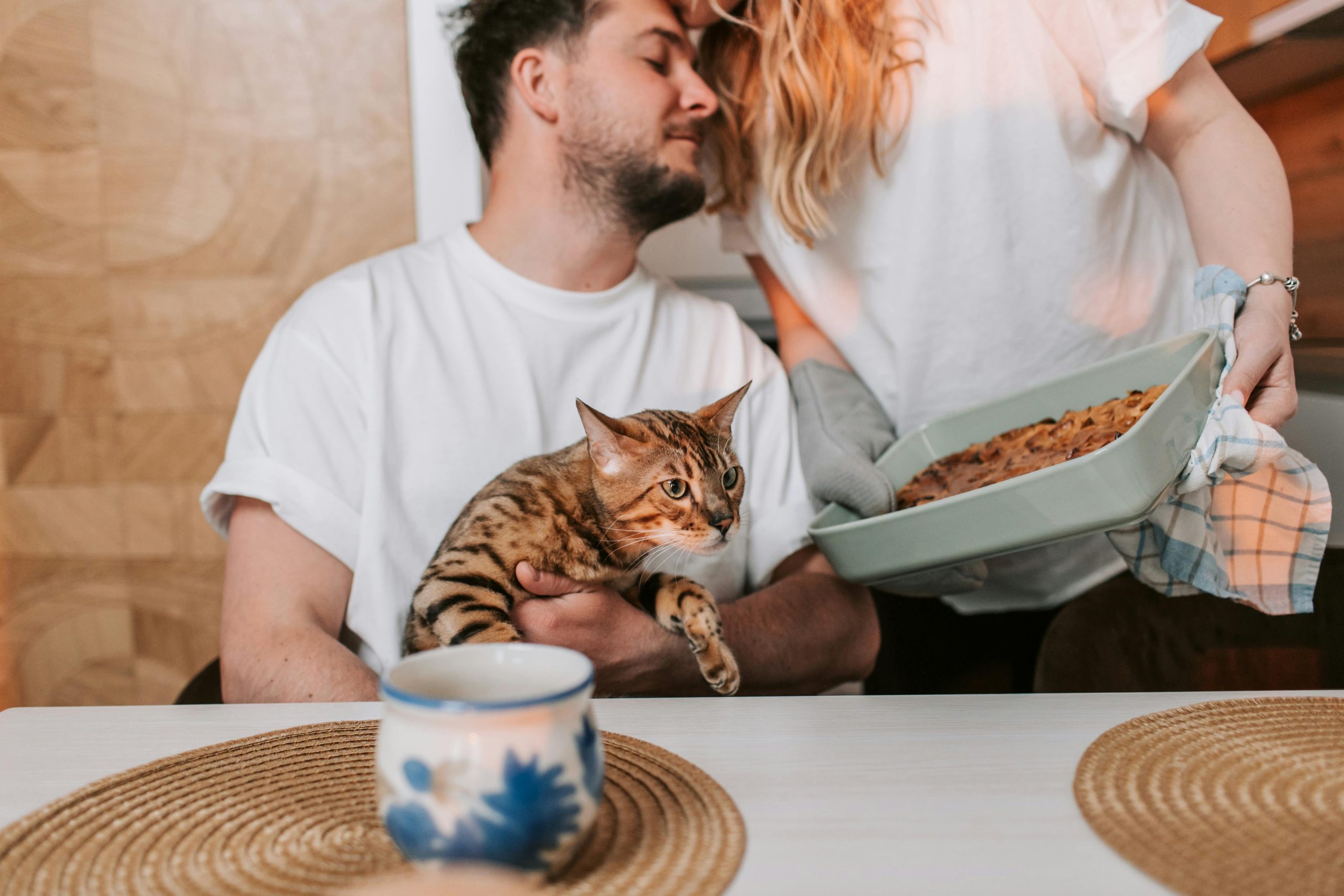 Missing Cat: Beloved female bengal cat is missing since 24th dec