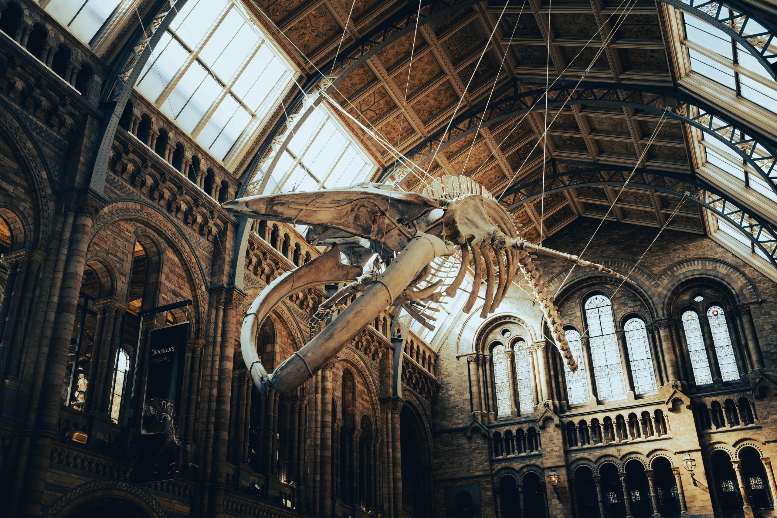 2 free tix to Natural History Museum