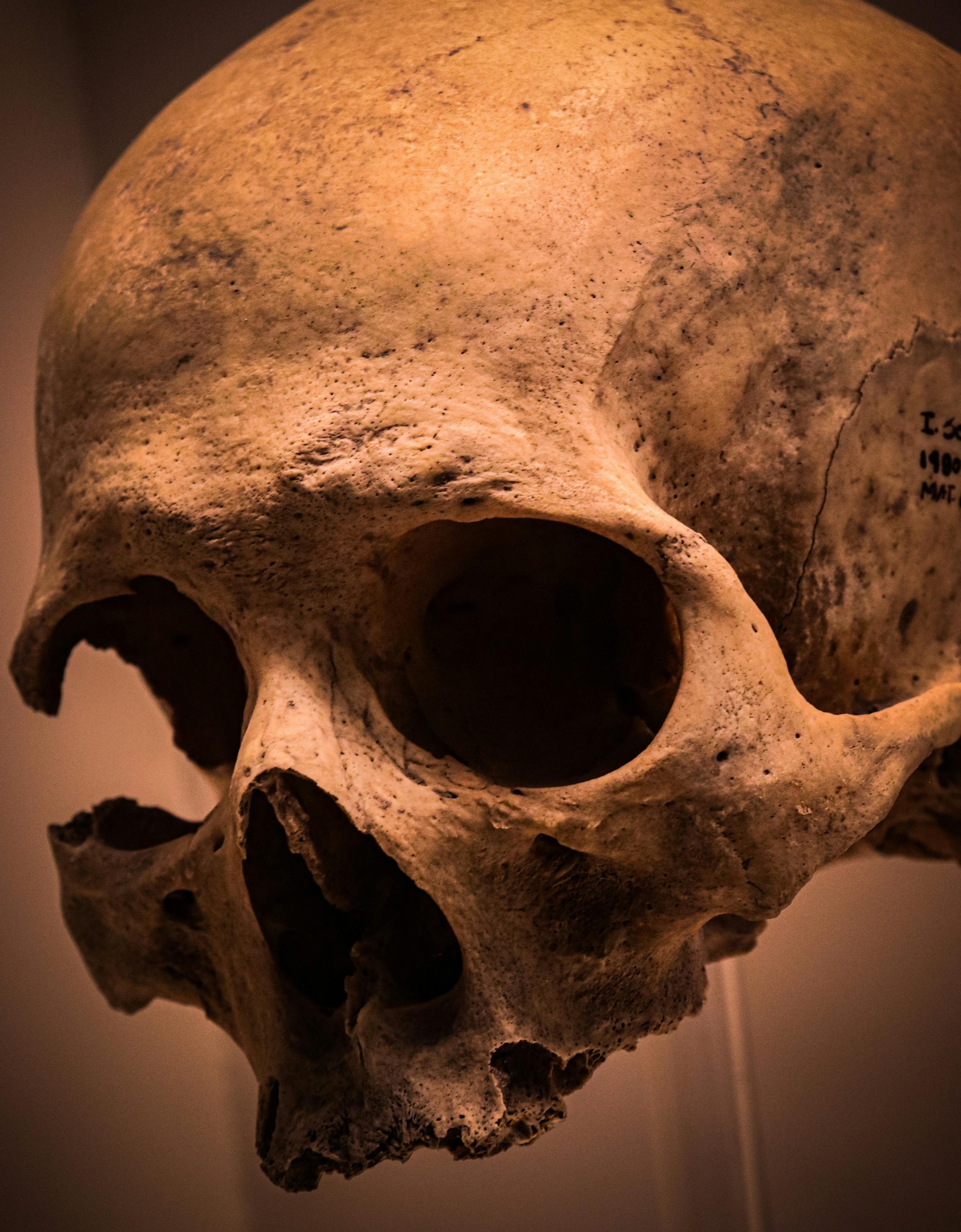 Free ticket: Memento Mori: How People Remembered to Die. “Pints of Knowledge” @ Big Penny Social, April 22nd.