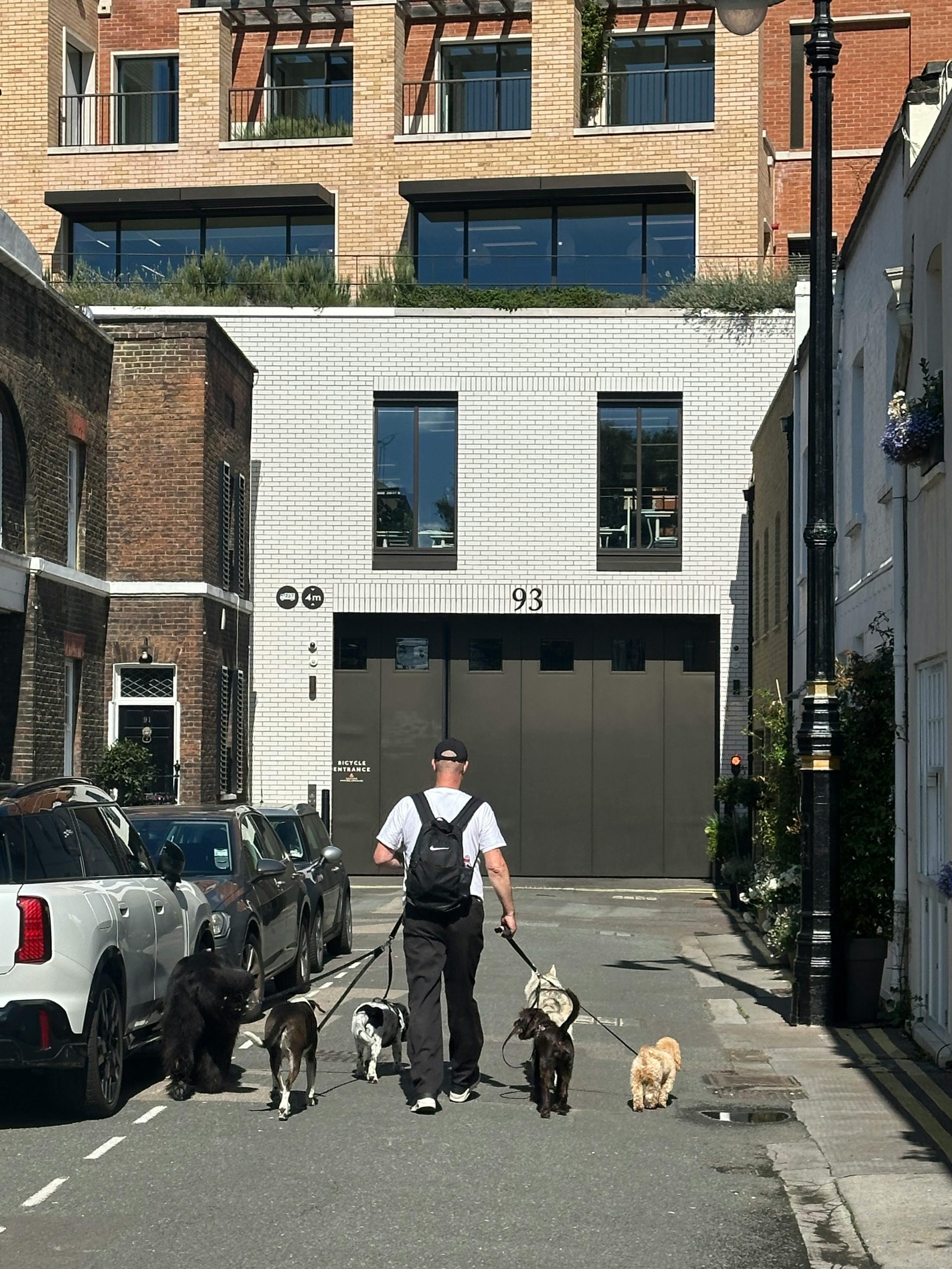 Announcement for Dog Walkers in West London