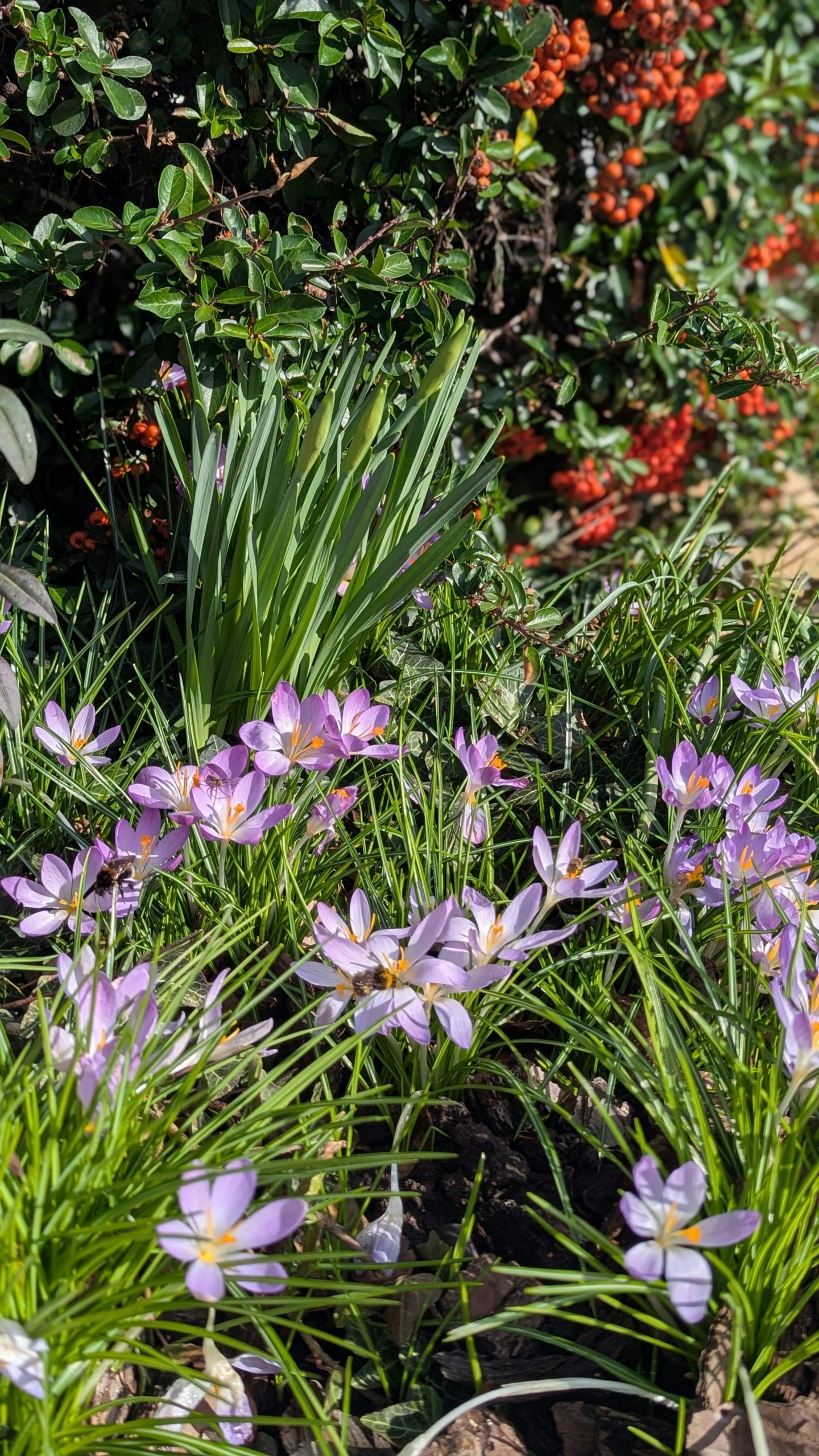 Spring has started off beautifully this year
