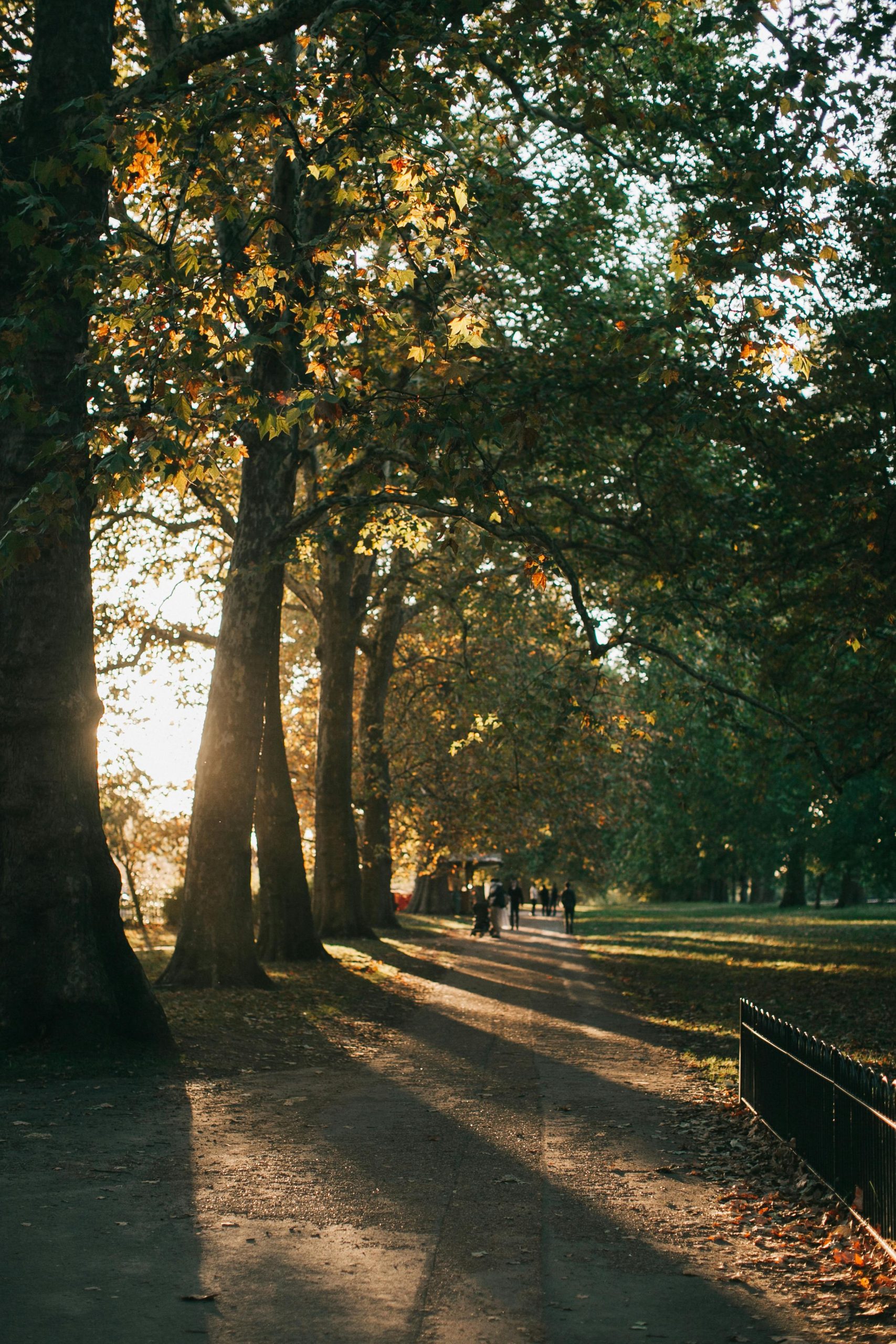 Morning Rush Hour in Hyde Park