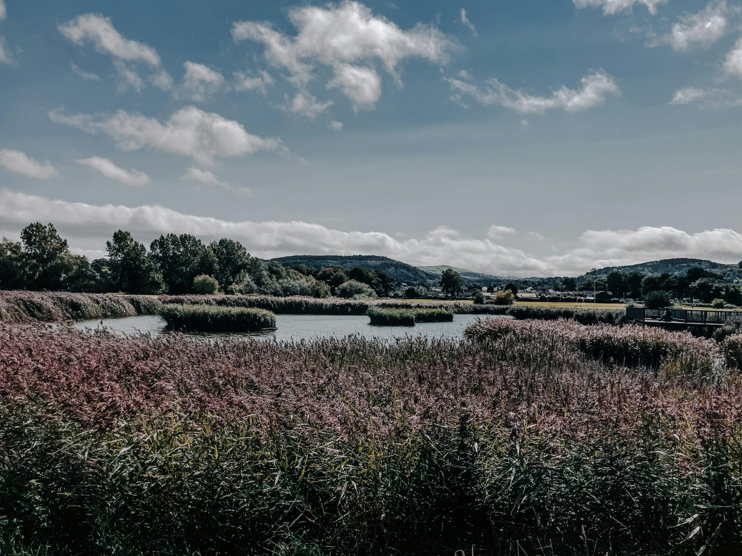 Lee Valley Park is my go to park every summer