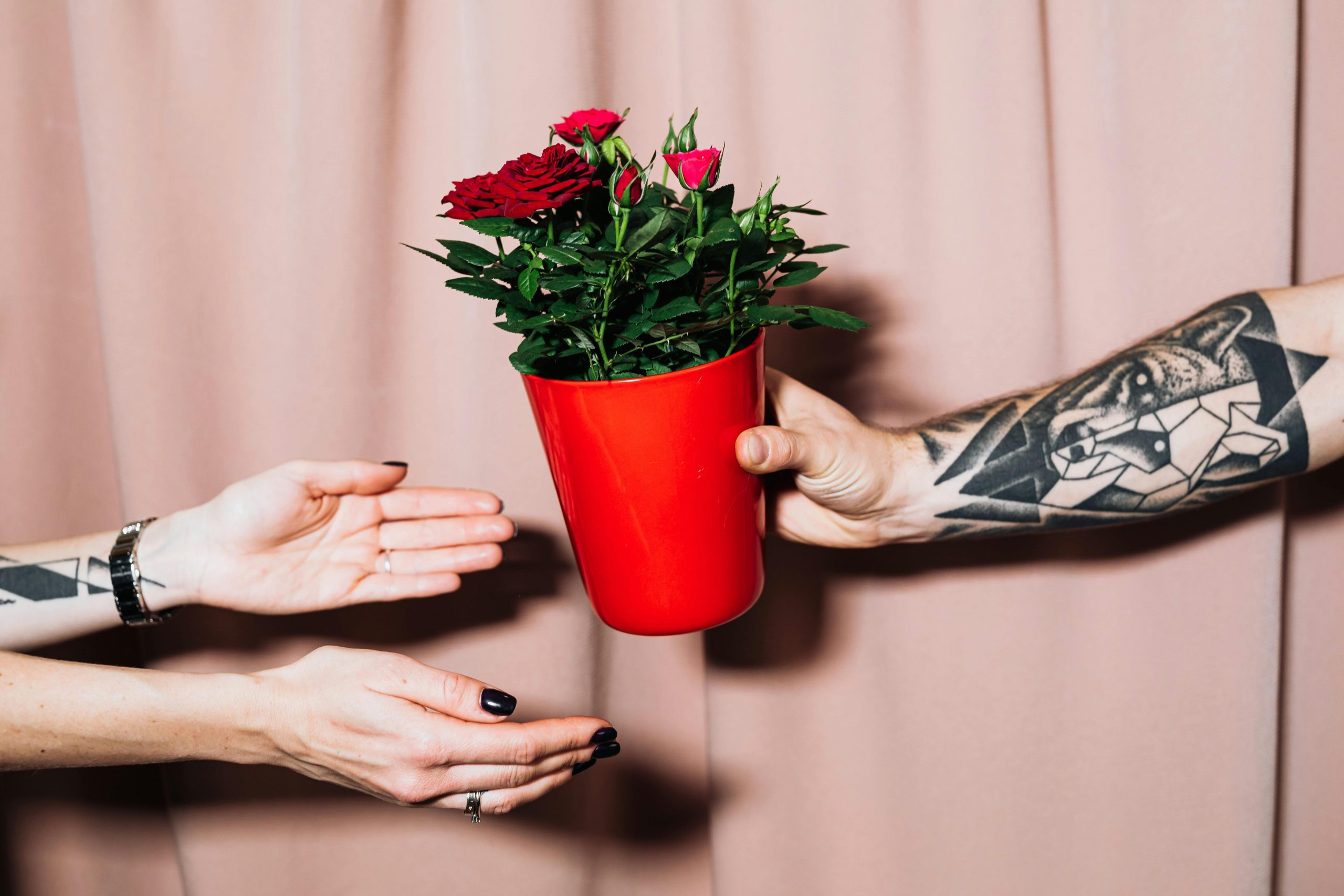 Places that give away second hand plastic pots