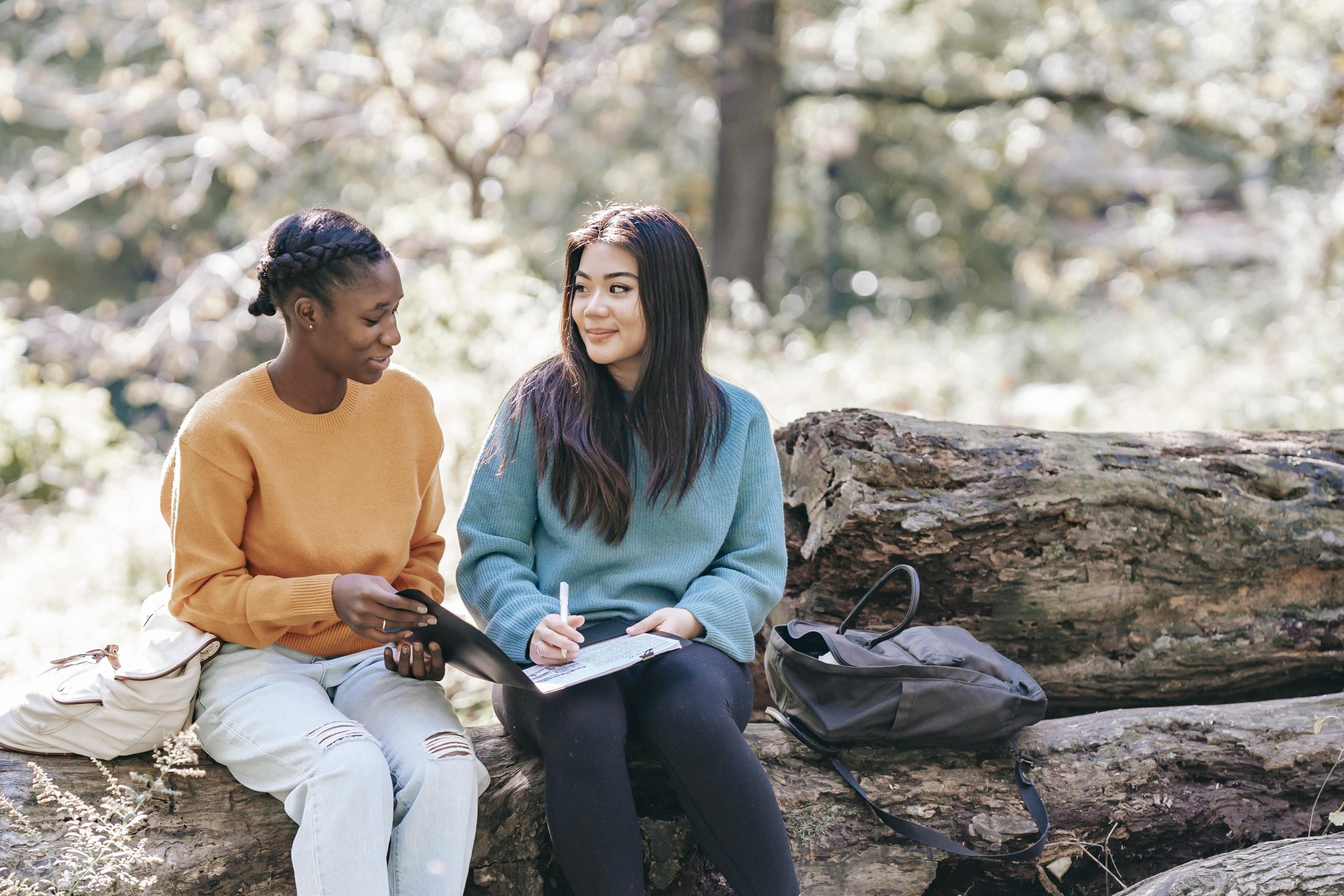 Student Journalist looking for swimmers and trans women to share their experiences at Kenwood Ladies’ Pond