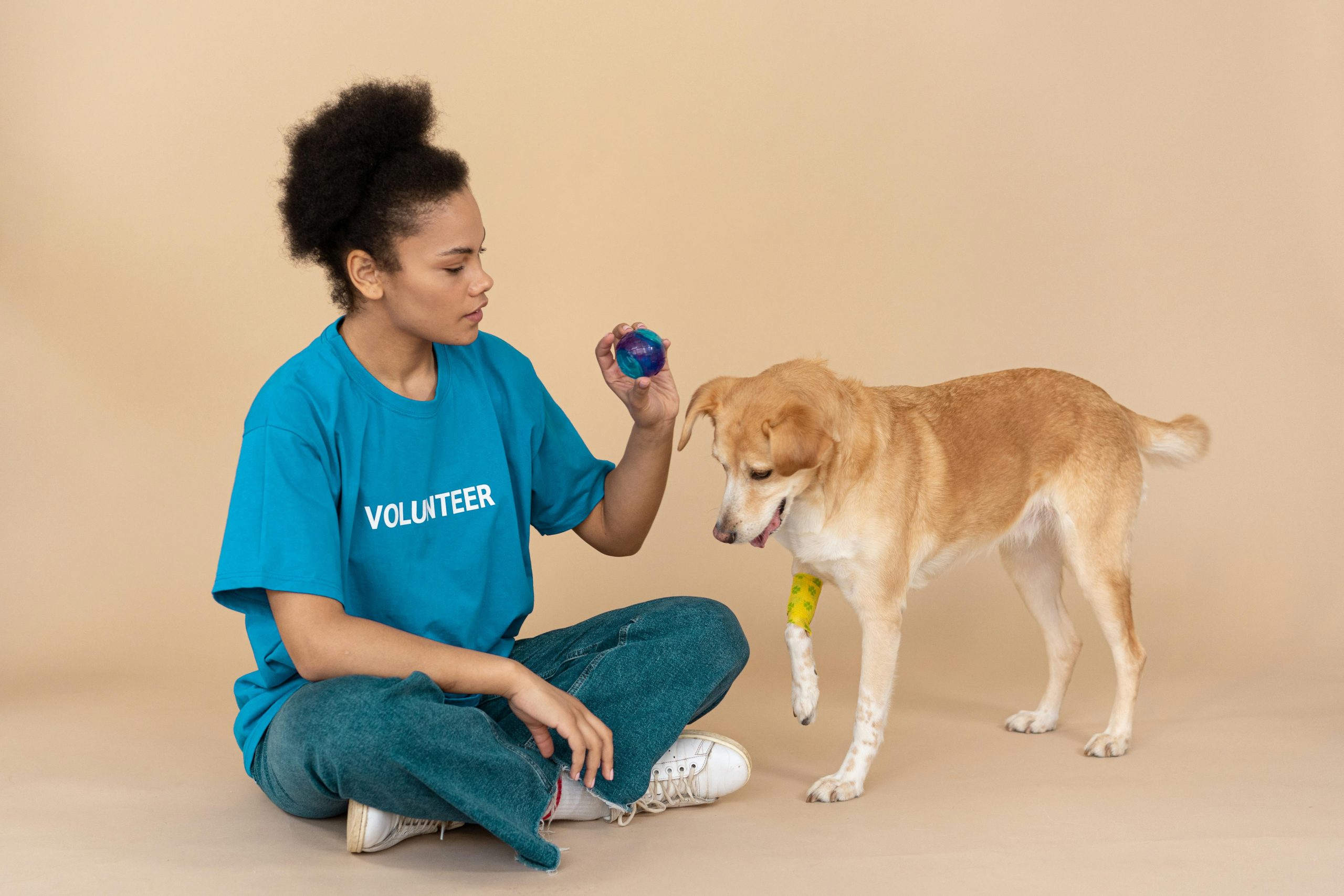 Any London animal rescues that need volunteers?