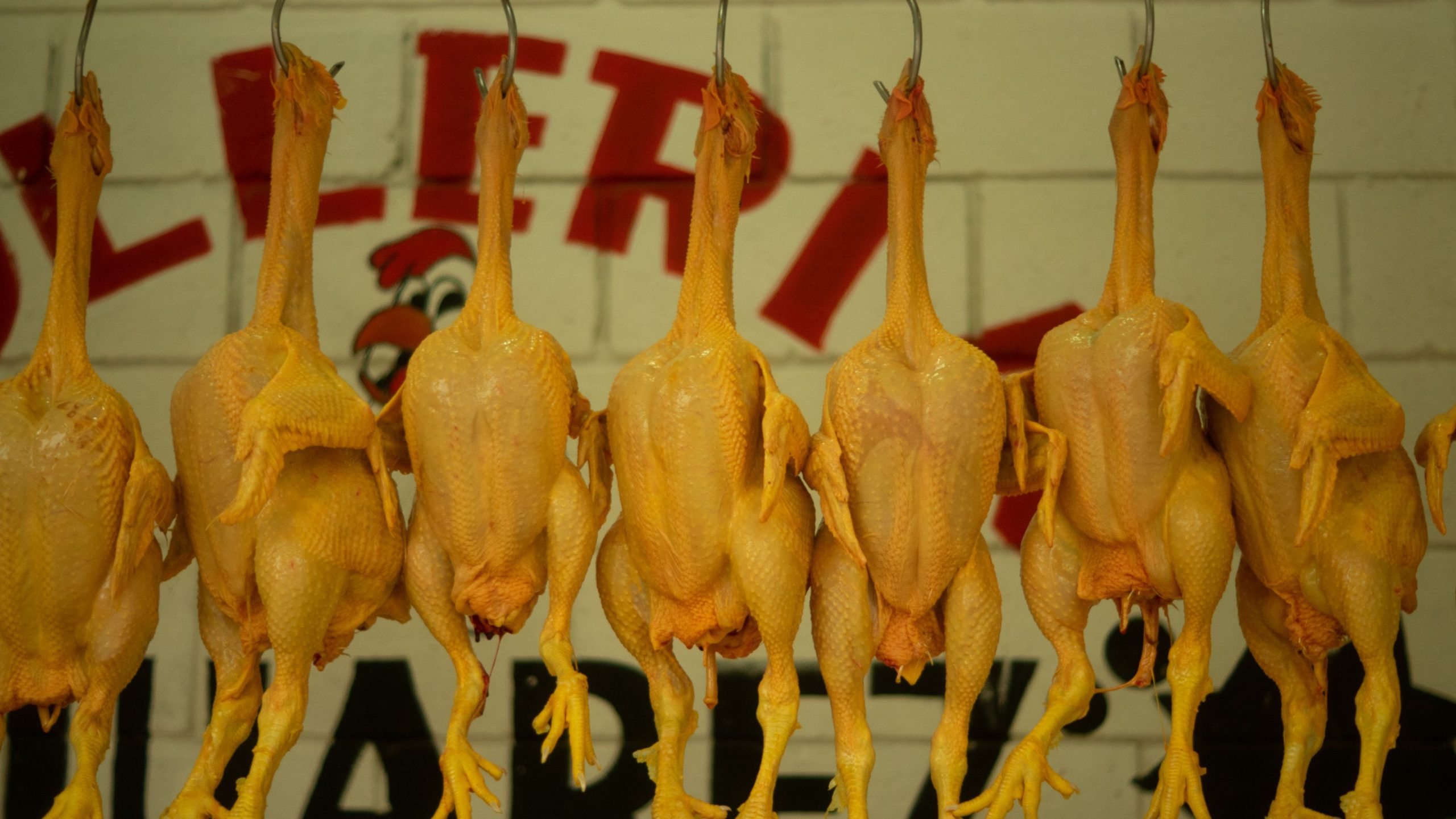 Chicken Shop – near perfect reviews