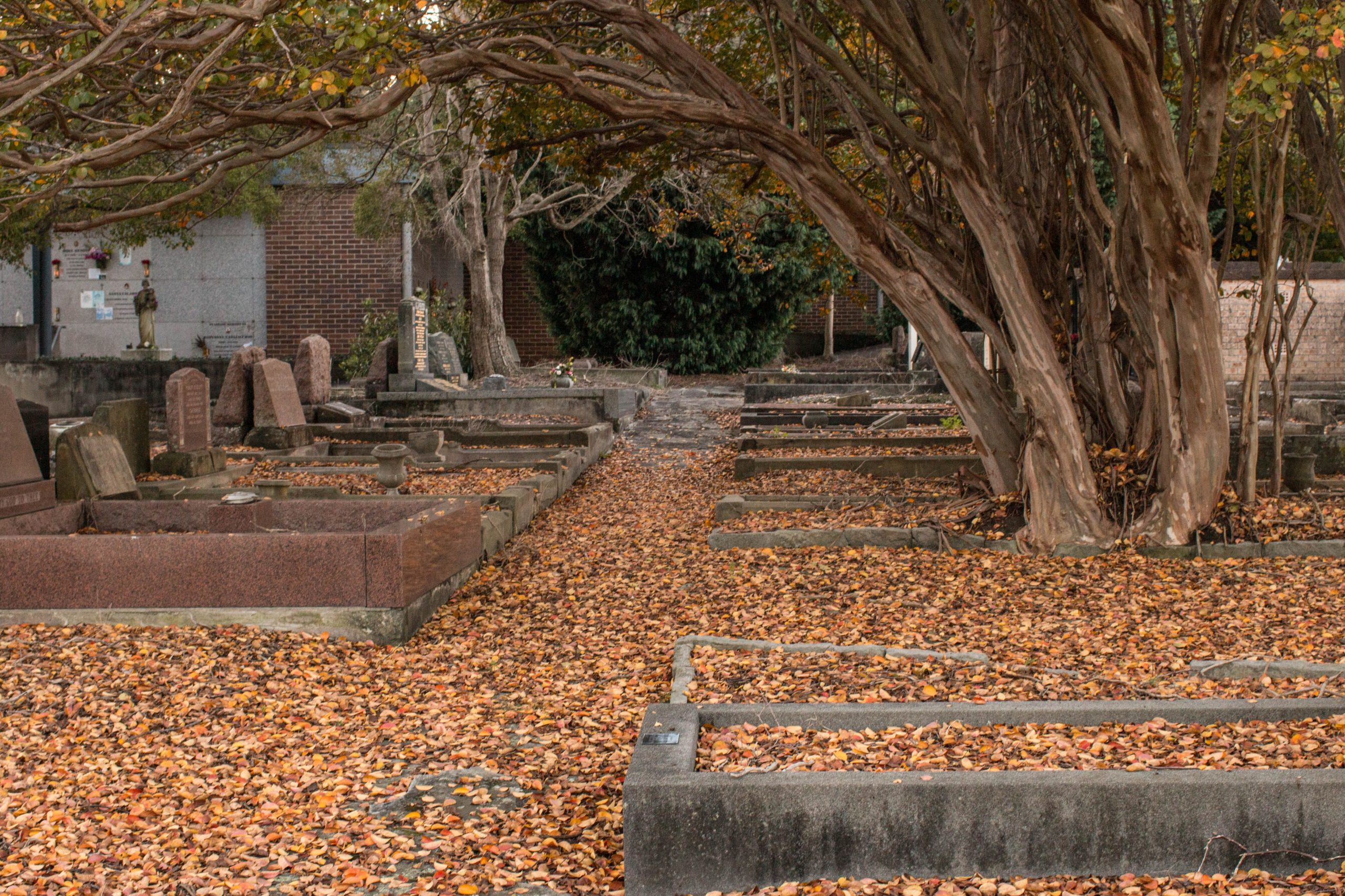 HYDE PARK PET CEMETERY WALING TOURS
