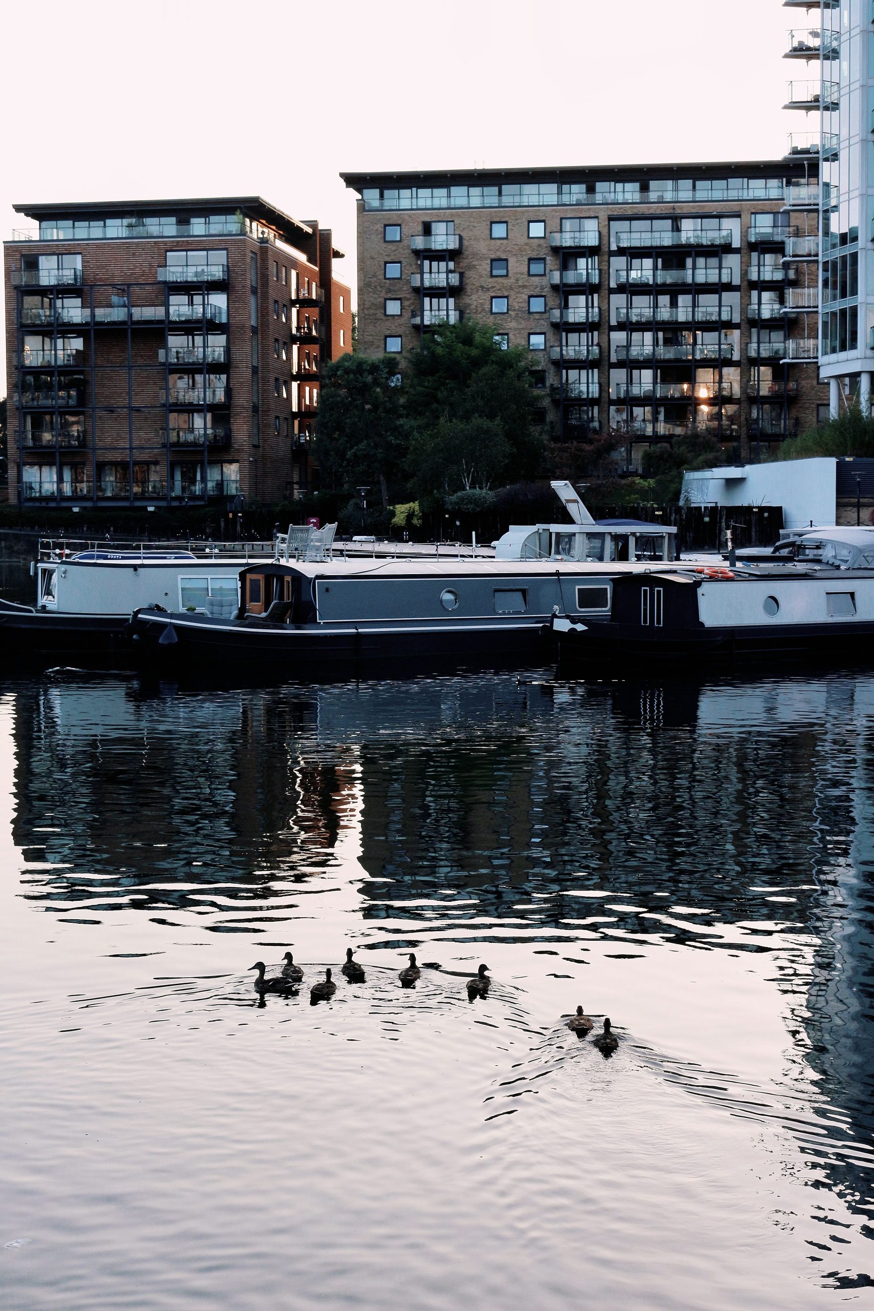 The reasons why you can’t, and won’t ever, be allowed to swim in London’s canals