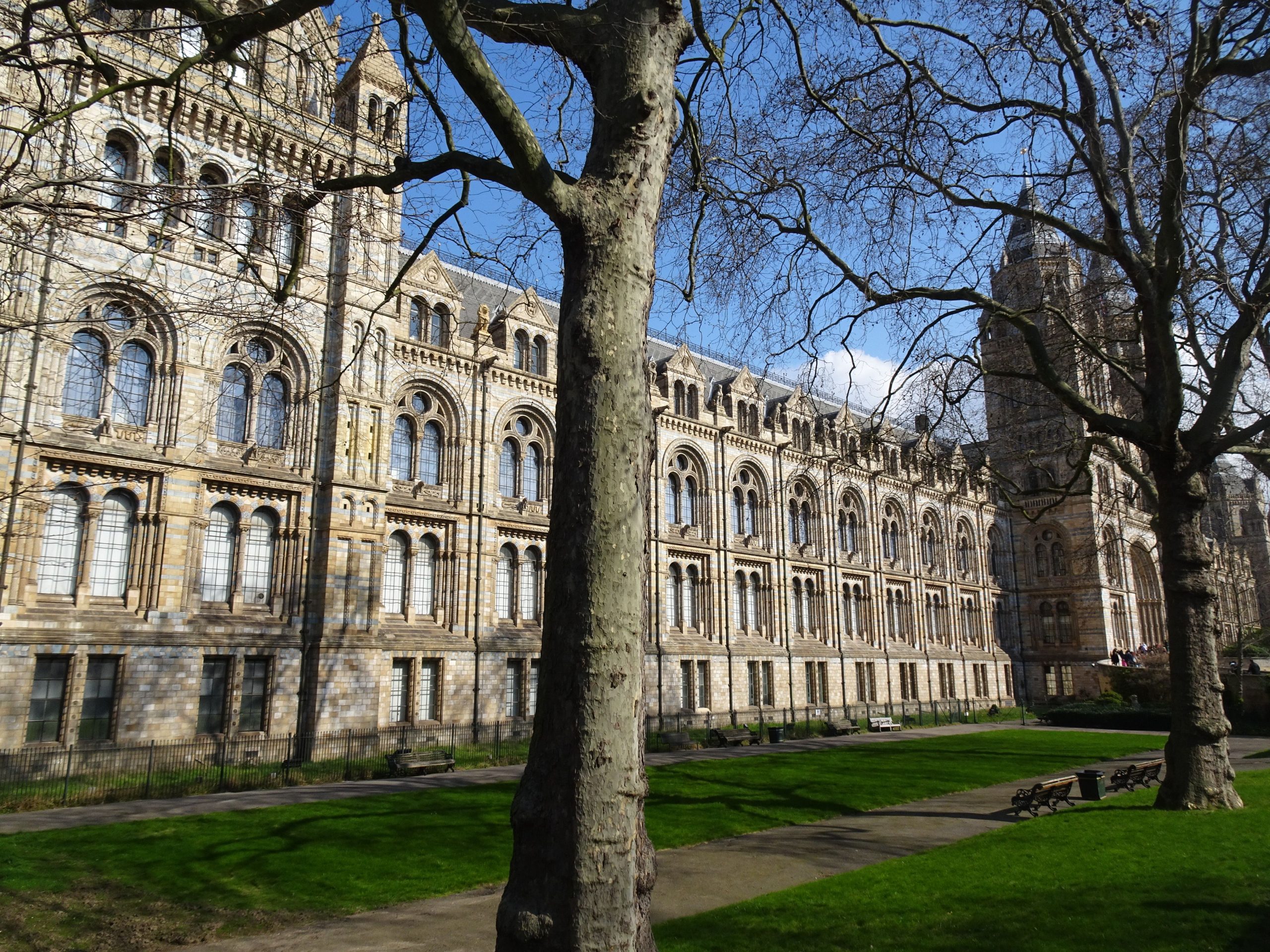 Parking around natural history Museum
