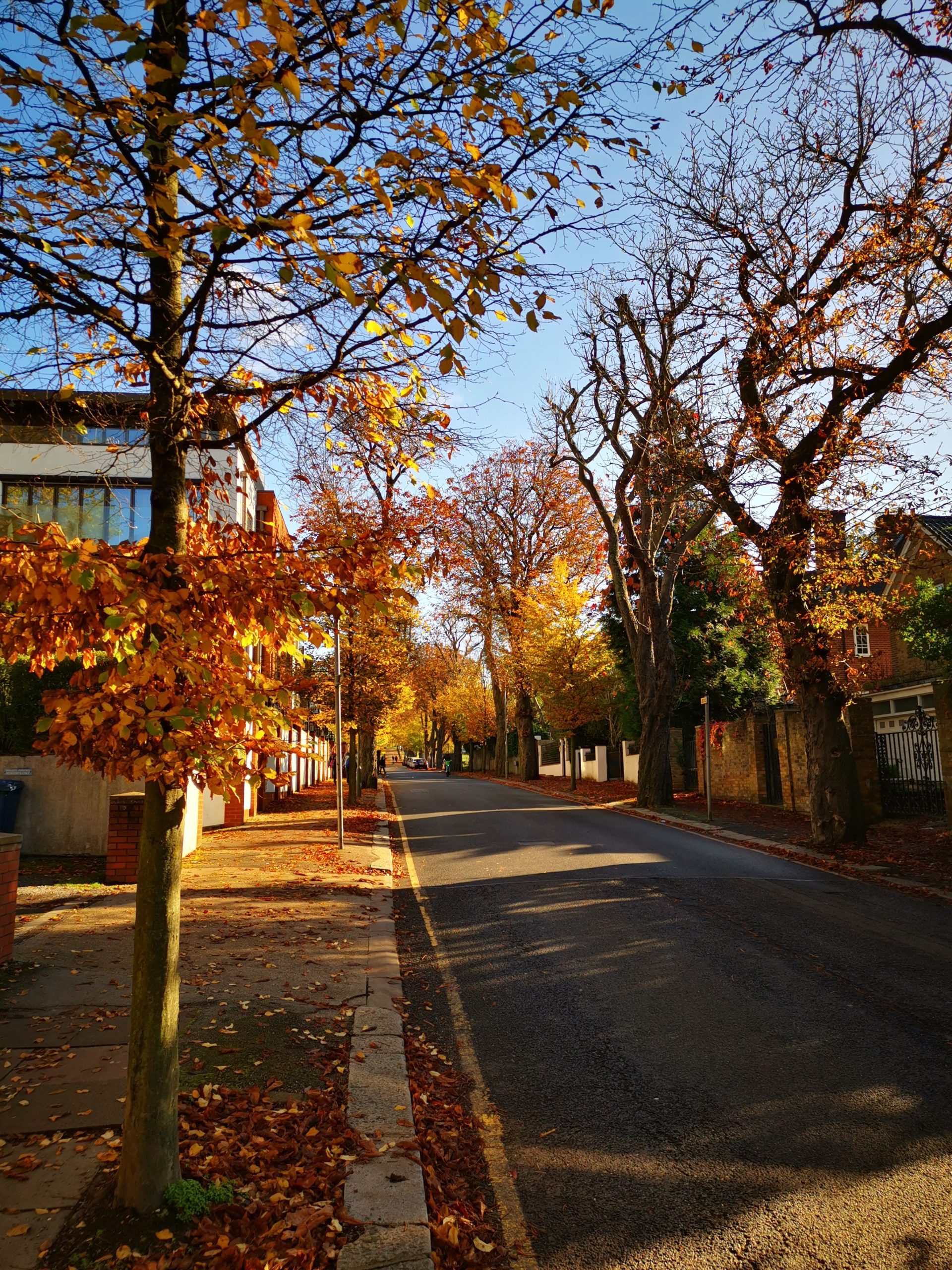 Things to do in North London this weekend October 17-18