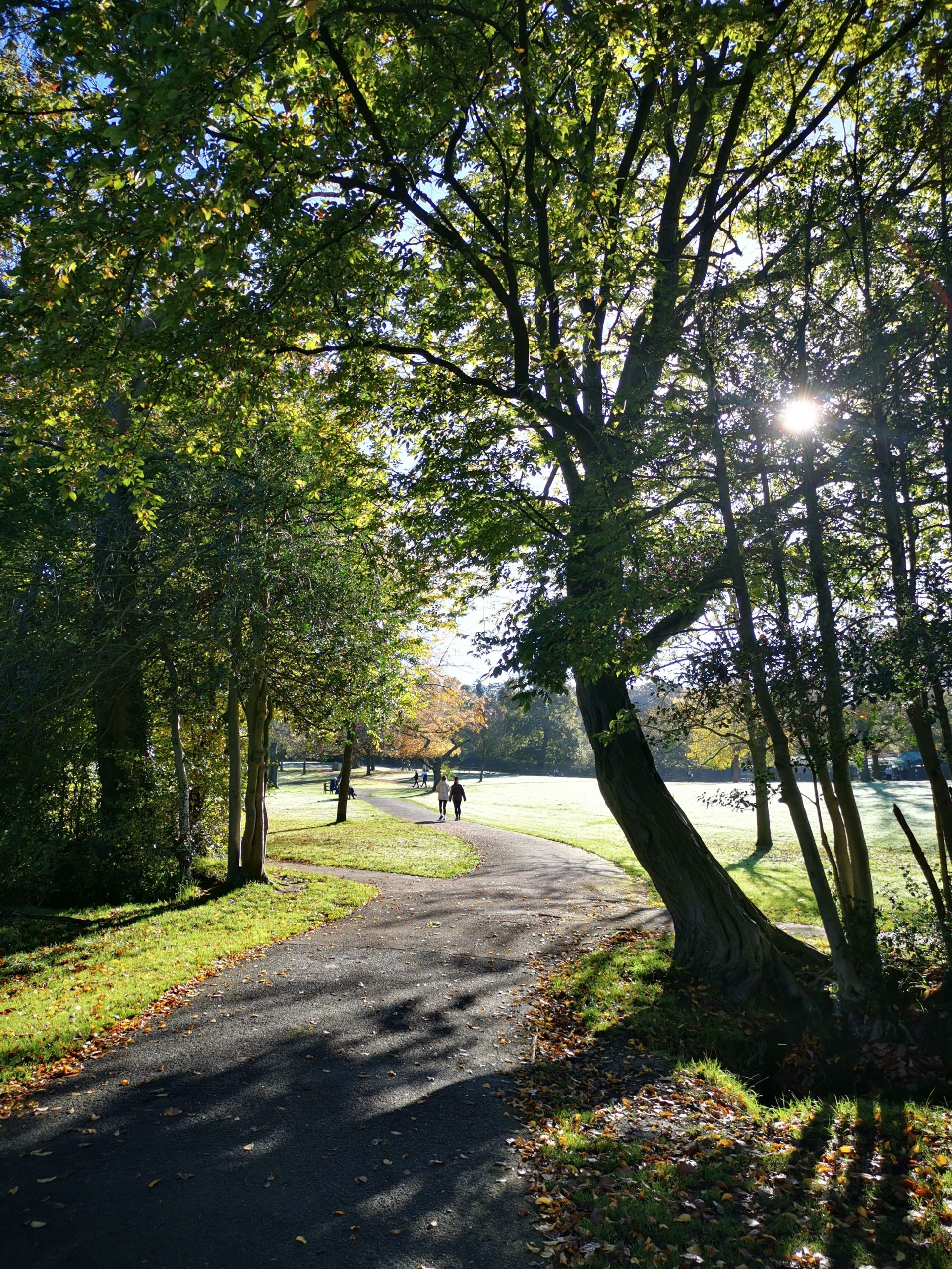 Things to do in North London this weekend October 3-4