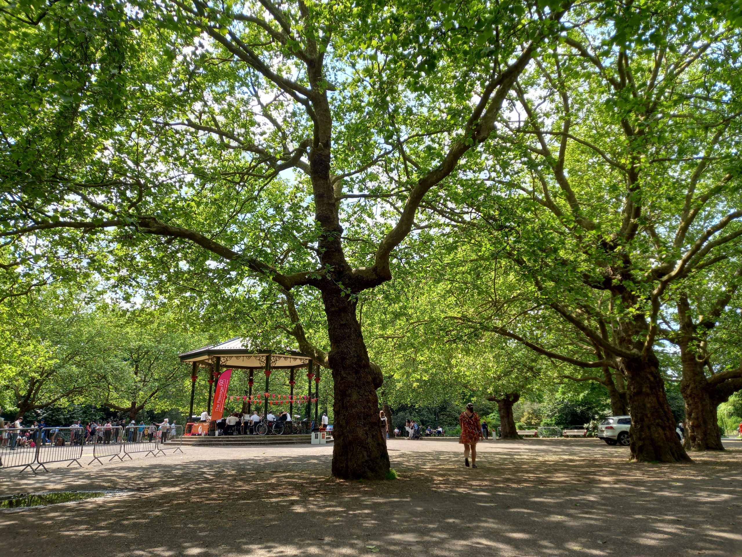 I saw a cyclist run over a dog at Clapham Common and it broke my heart